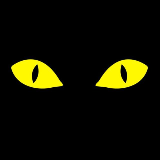 Dos ojos amarillos sobre un fondo negro.