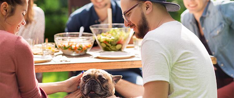 Grupo de personas sentadas alrededor de una mesa. Dos jóvenes acarician un perro.